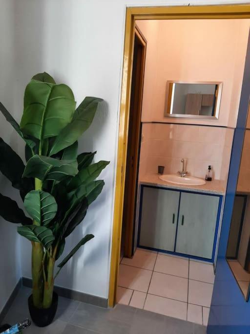 Confortable En Hyper Centre Parking Gratuit Dans La Rue Acces Avec Boite A Clee Apartment Castres  Bagian luar foto